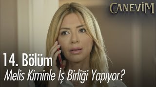 Melis kiminle iş birliği yapıyor? - Canevim 14. Bölüm