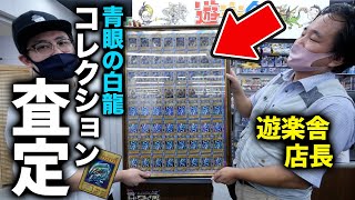 【遊戯王】遊楽舎店長に、本気の「青眼の白龍」コレクションを査定してもらった結果…