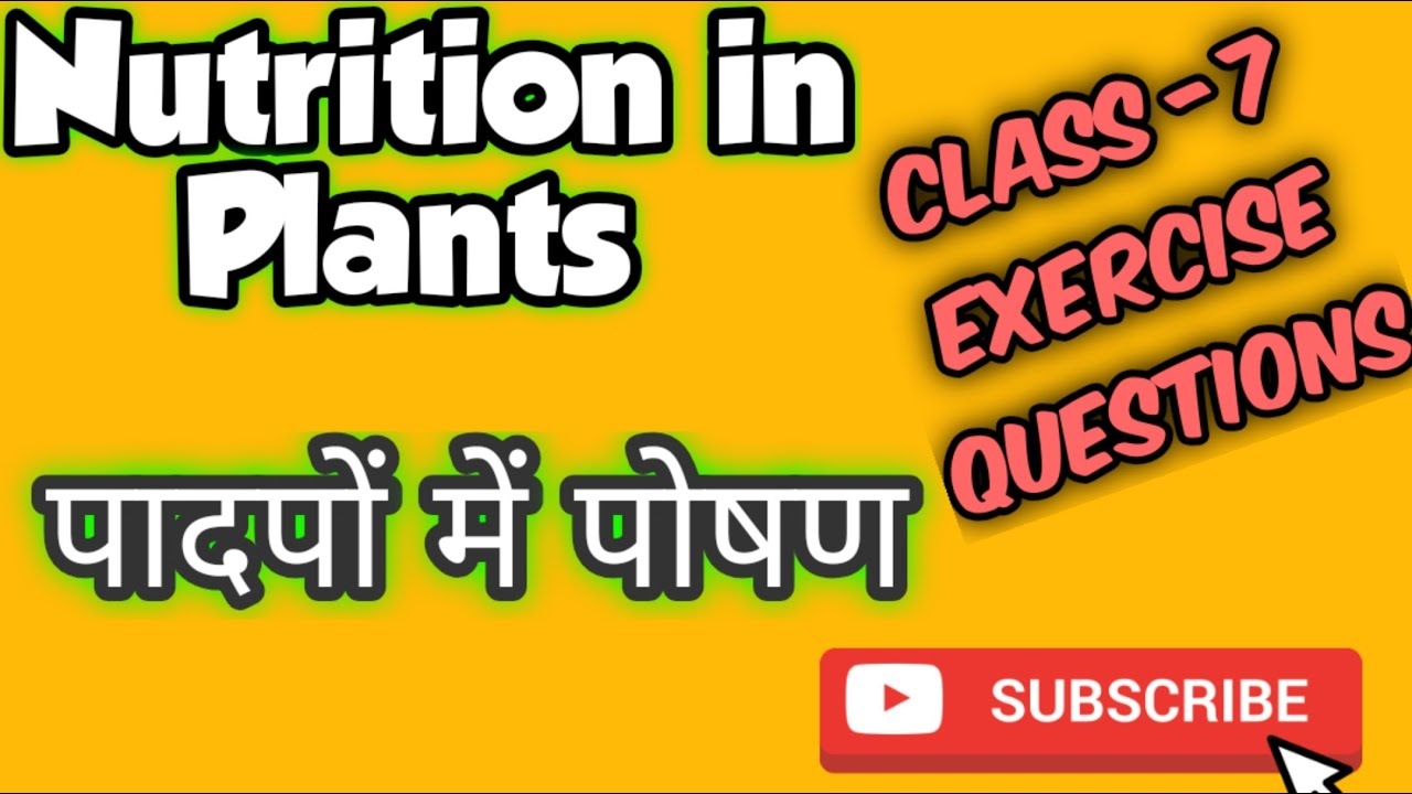 CLASS - 7 EXERCISE QUESTIONS (NUTRITION IN PLANTS) - YouTube