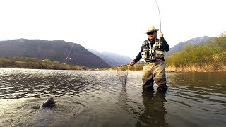 Fly fishing - Episode 25 - Carp Fly fishing (잉어 플라이낚시)