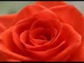 One Million Roses (Soviet Songs in English) - Миллион алых роз (на англ. языке)