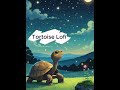 Starry-Eyed Sulcata 🌠🐢 | A Nighttime Wander #babytortoise #beats #music #lofibeats #lofi #relaxing