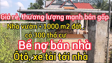 Bể nợ bán nhà cấp 4 Kiên cố, ôtô tới nhà, cách chợ , ủy ban, trường học 1km, thương lượng mạnh 😍😍