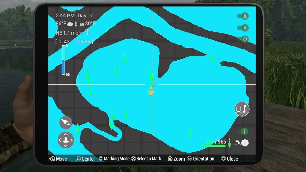 Unique Oscar Amazonian Maze Exploration I Fishing YouTube