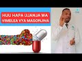 JINSI VIMELEA VYA MAGONJWA VINAVOTENGENEZA USUGU DHIDI YA DAWA Dawa Usugu Bacteria JINSI VIMELEA VYA MAGONJWA VINAVOTENGENEZA USUGU DHIDI YA DAWA Dawa Usugu Bacteria