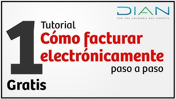 Cómo facturar electrónicamente con la DIAN Gratis - Parte 1 Tutorial