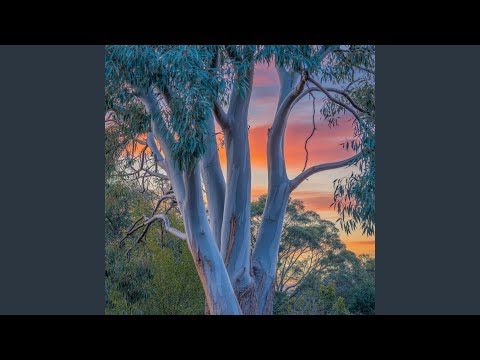 Semoga Adaa Keberkahann