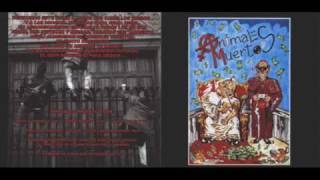 Video thumbnail of "Animales Muertos - Carta de Reyes"