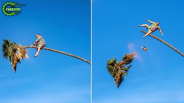 Idioten met kettingzagen: mislukte boomkap | Extreem gevaarlijke houtvrachtwagen mislukt #9