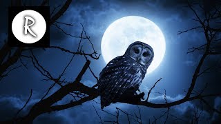 Relaxing Music for Stress Relief. Healing Music for Meditaion, Soothing for Massage, Deep Sleep #16