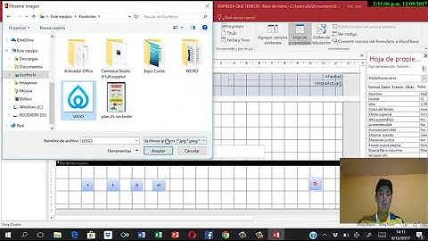 Ejecutable de Web Access - Formulario (Juan Muñoz)