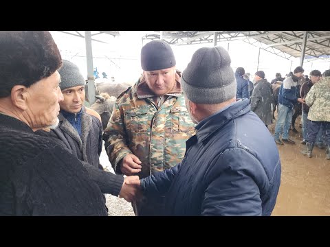 8 декабря 2024 г.