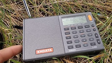 Xhdata D 808 vs Tecsun pl 330 SBB