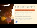 Pet Heat Safety