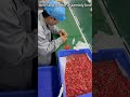 Assembly Line Process | Part Bonding Step