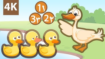 Learn The Numbers in Arabic  كارتون تعليم الارقام العربية للاطفال