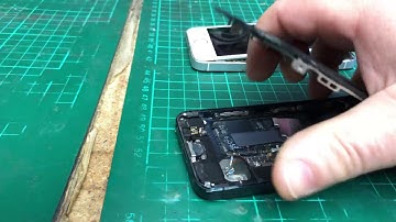 Home button not working after screen install on iPhone 5S