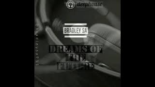 Bradley SA Crystal Cube Original Mix