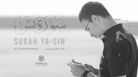 سورة يس بصوت القارئ طارق محمد  💜 تلاوة قمه في الهدوء 💜