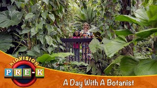 A Day With A Botanist | Virtual Field Trip | KidVision Pre-K