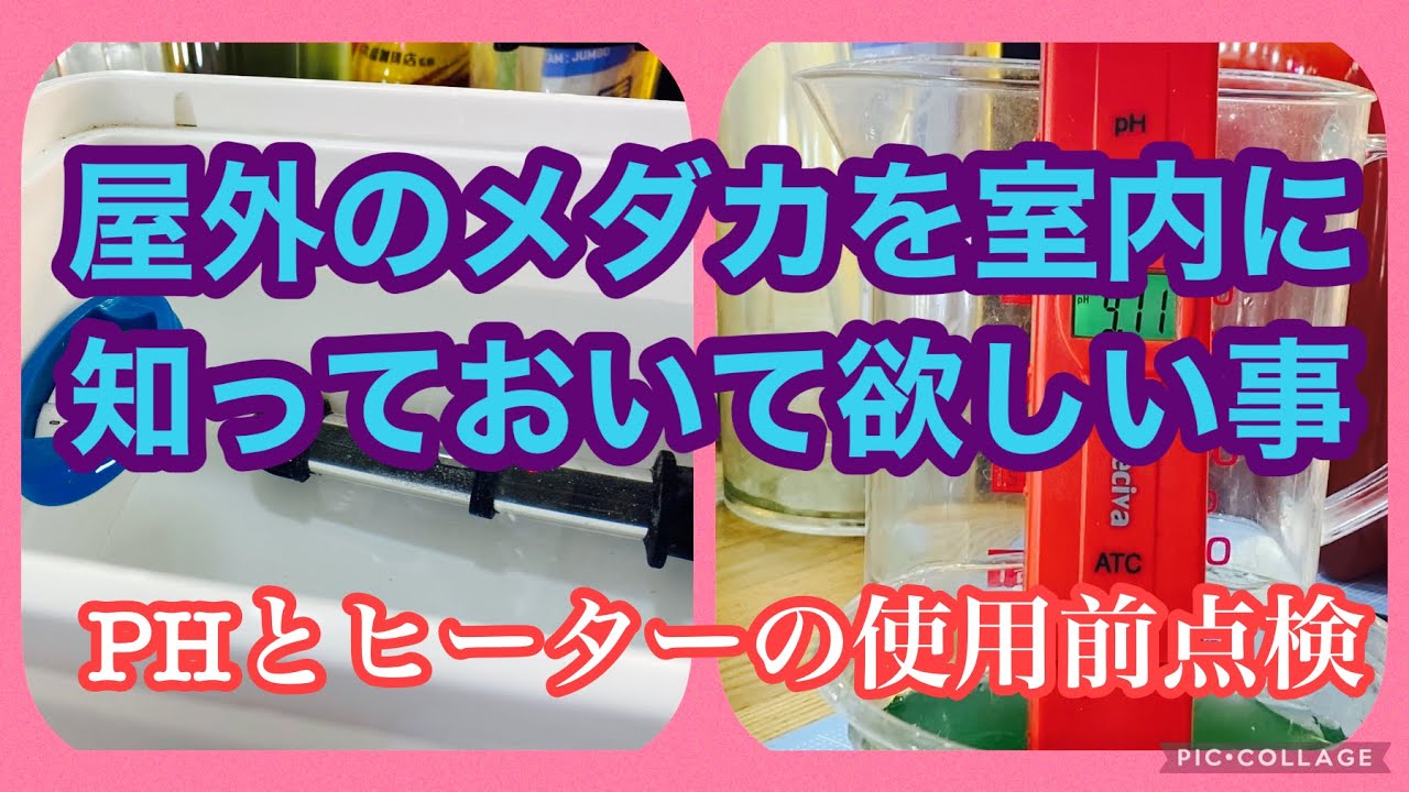 ふじやんメダカ 屋外のメダカを室内に 知っておいて欲しい事 Phとヒーターの使用前点検 Youtube