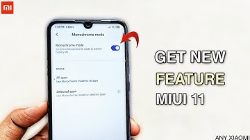 MIUI 11 New Feature Update Enable Any Xiaomi | MIUI 12 Feature Monochrome Mode
