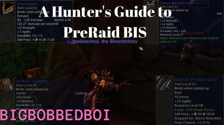 A Hunter's Guide to Pre Raid Best in Slot : Classic WoW Tutorial - preraid bis