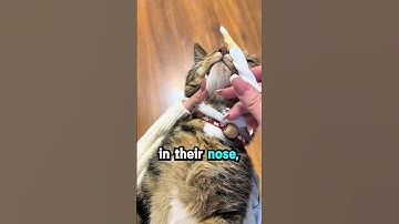 DO NOT CLICK THE SOUND BOHOHOHO #reelschallenge