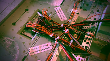 Freewing F14 Tomcat custom paint job