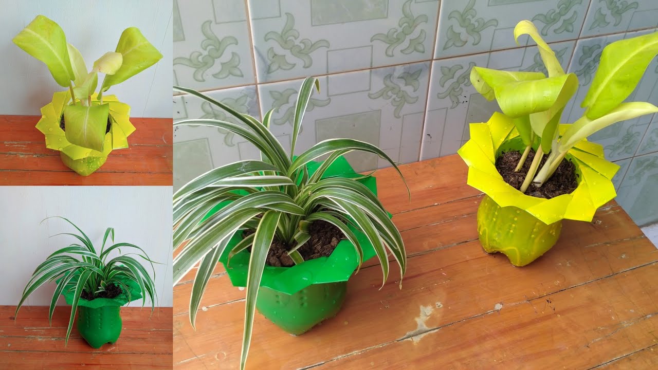 DIY Pot  bunga  cantik dari botol plastik bekas  YouTube