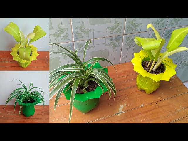 DIY Pot bunga cantik dari botol plastik bekas class=