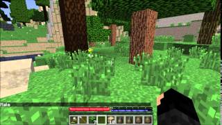 TerraFirmaCraft Season 1 Episode 8 - Epic Land of Nothingness