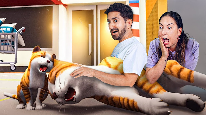 FAZENDO TUDO DE ERRADO Vivendo como GATO e CACHORRO