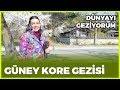 Dünyayı Geziyorum - Güney Kore | 16 Haziran 2019