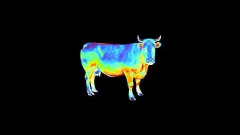 Intro for RaninArts! (dual with Kengy)