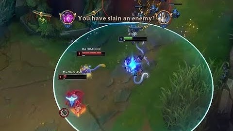 Velkoz support is OP