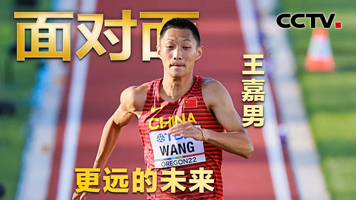 中国首位世锦赛跳远冠军！“每次见刘翔都想掉泪” 王嘉男深情回忆跳远之路 | CCTV「面对面」 - 天天要闻