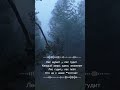 Лесной угар |2026| Музыка для души