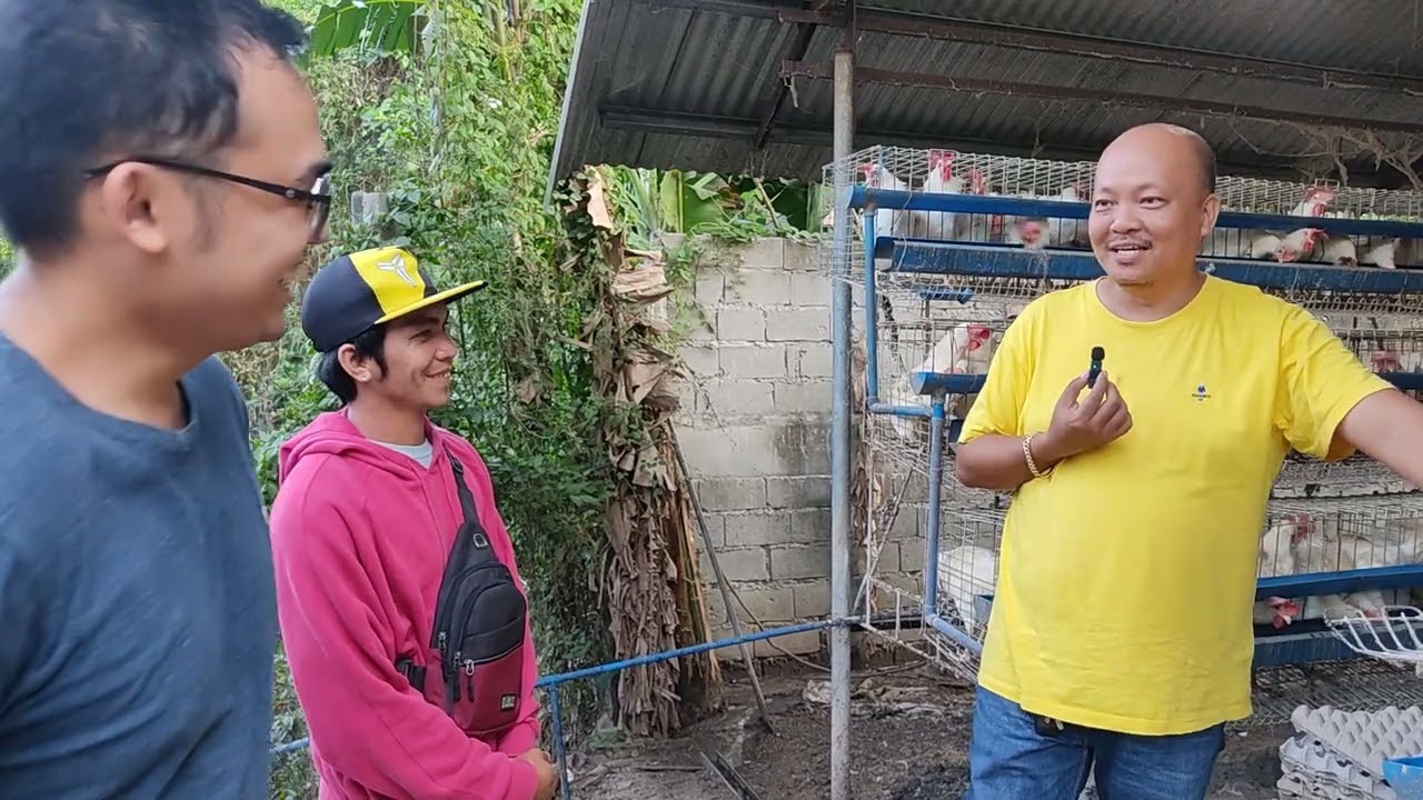 IMPORTANT TIPS PAGDATING NG RTL SA FARM WITH SIR ROMANOF, BALUNGAO FARM OWNER