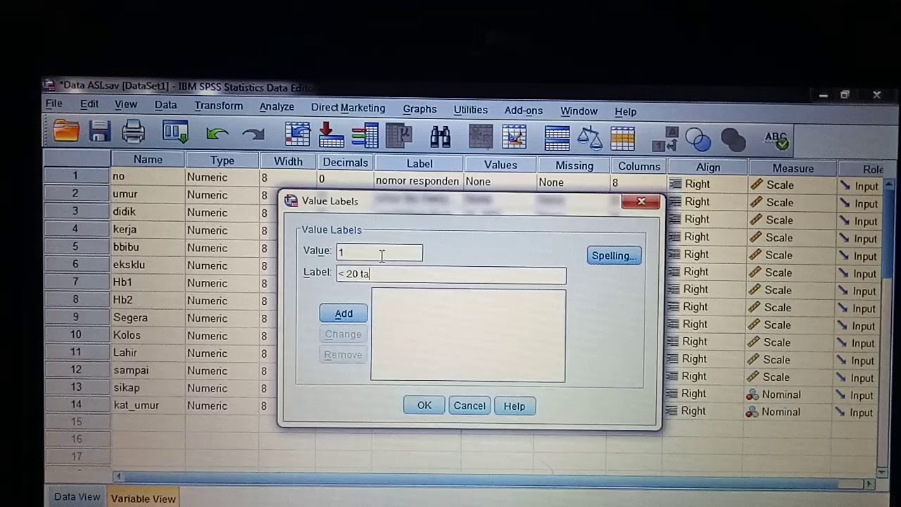 Hasil Recode Into Different Var - YouTube