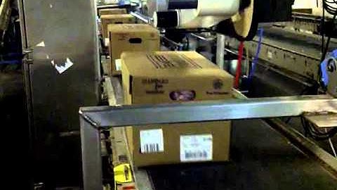 Panther | Printer Applicator with Swing Arm Applicator Applying Labels to Cases