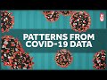 Patterns from a Year of Covid Data