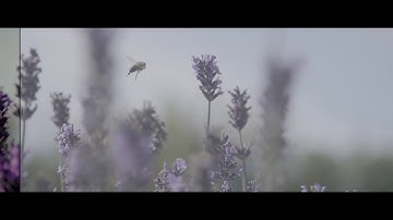 Gh5 vLog - Slow Motion - Grading Footage - Davinci Resolve 14