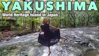 Yakushima Island #1 Adventure in the hidden forest!! Japan vlog☆