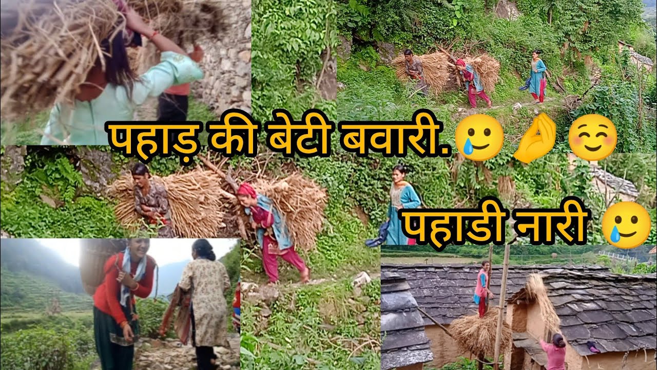 संघर्ष भरा जीवन फिर भी चेहरे पर् खुशी ☺️🥲पहाड़ की नारी 