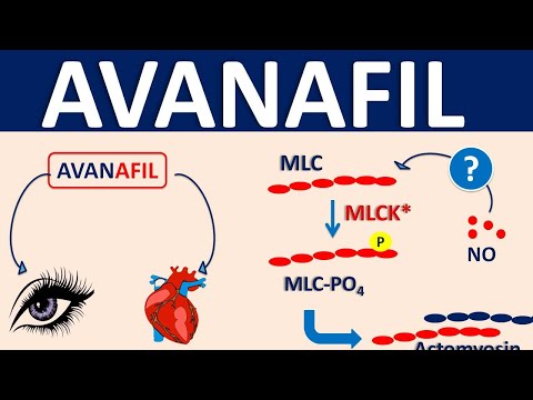 Avanafil - Mechanism, side effects, precautions & uses