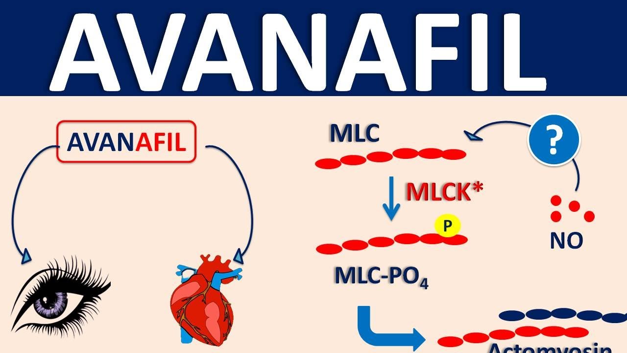 Avanafil - Mechanism, side effects, precautions & uses