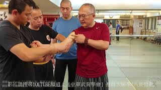 【八卦基礎教學】【20191128(12)】肢體有順序的轉動 才叫擰轉