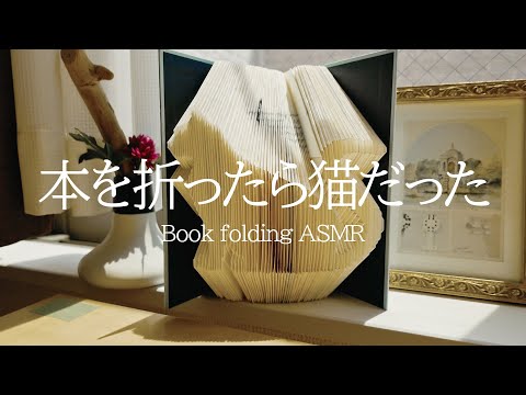 Book Folding ASMR 本を折ったら猫だった  When I folded the book, there was a cat there