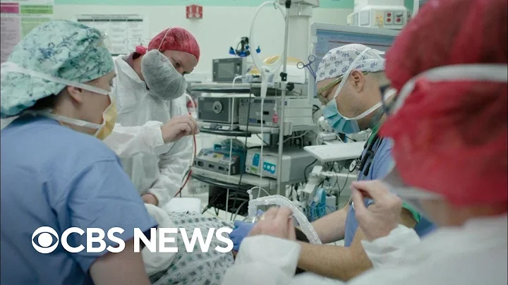 Breakthrough gene therapy could offer hope for treating hereditary hearing loss